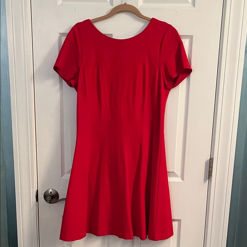 Banana Republic Scarlet Mini Dress